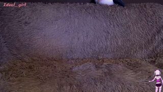 Nastyatopovaya1337 naked stripping on cam for live sex video chat