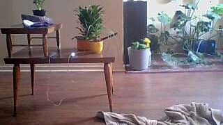 plantwaifu naked stripping on cam for live sex video chat