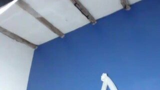 Jose & Sol .♥/(,”)\.(“.)♥★ ..★ nude on webcam in her Live Sex Chat