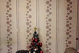 sex_hot_home_official naked stripping on cam for live sex video chat