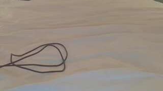 Sorry-I’m LEGAL. nude on sex cam in her Live Sex Chat